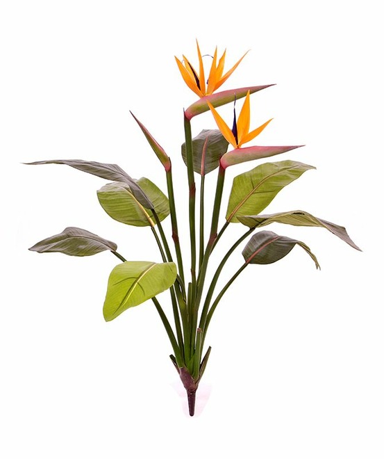 Strelitzia plante artificiel de 75 cm