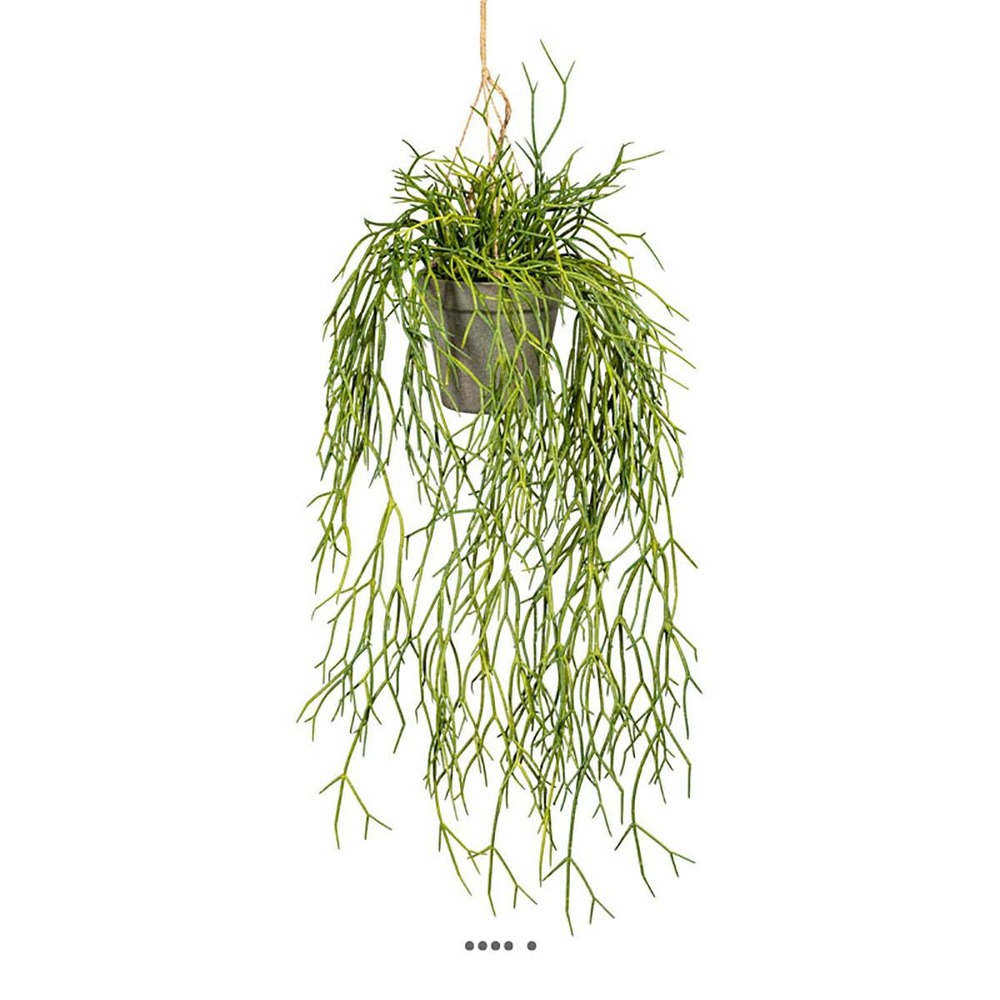 Fausse plante retombante rhipsalis l 60 cm vert