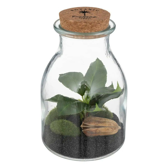 Terrarium en verre