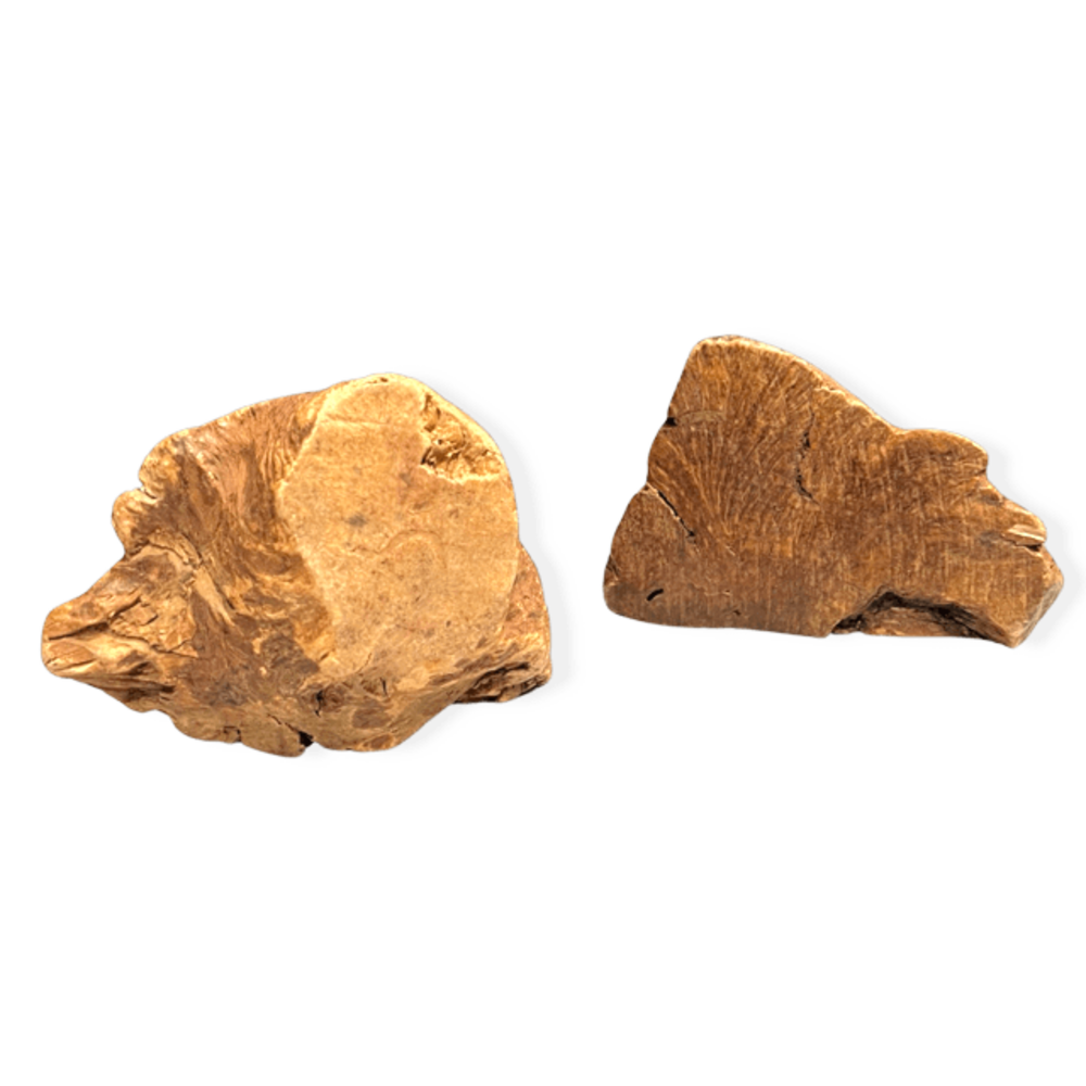 Racine de bruyère pour chien xs 50-150g