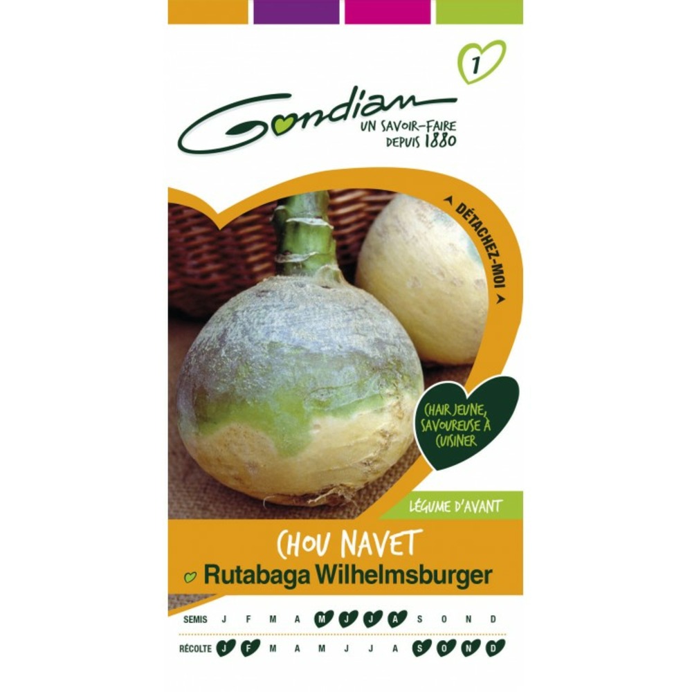 Chou navet rutabaga wilhelmsburger