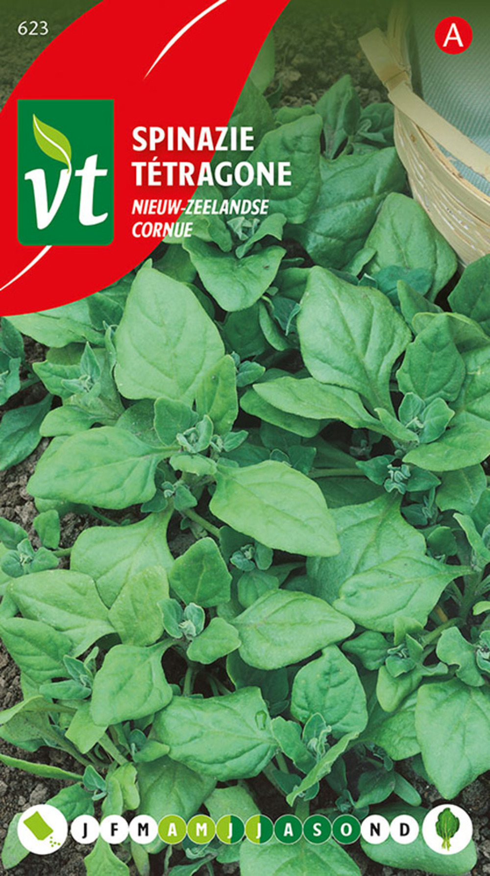 Epinards nouvelle-zélande - ca. 2 gr (livraison gratuite)