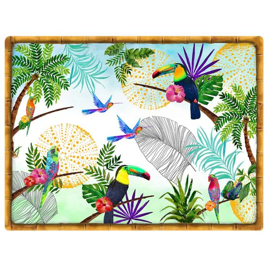 Set de table rectangulaire (40 x 30 cm) lot de 6 - toucans de rio