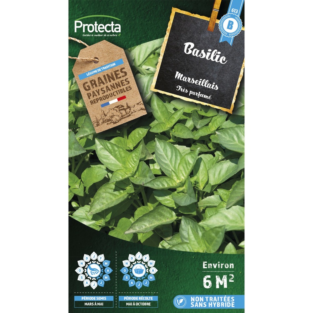 Graines paysannes - basilic parfumé marseillais