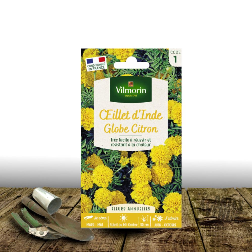 Graines d'oeillet d'inde globe citron - vilmorin sachet