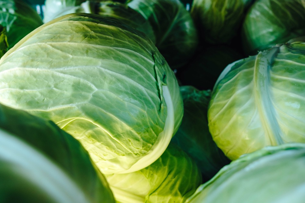 Sachet de graines de chou cabus marché de copenhague - sachet de 3 grammes - petite entreprise française