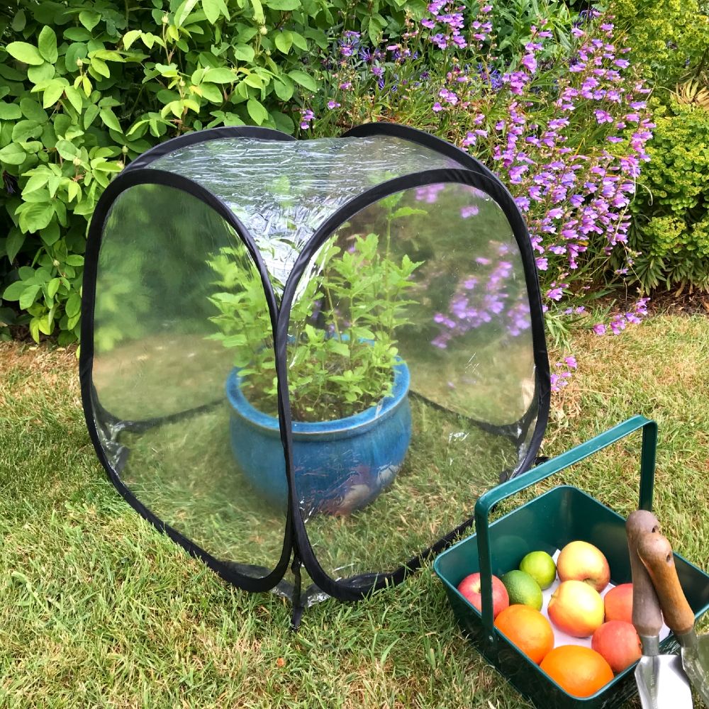 Serre Pop-up 70x70x80 Cm - Protection Facile Pour Vos Plantes, Légumes Et Fleurs - Résistante Aux Intempéries