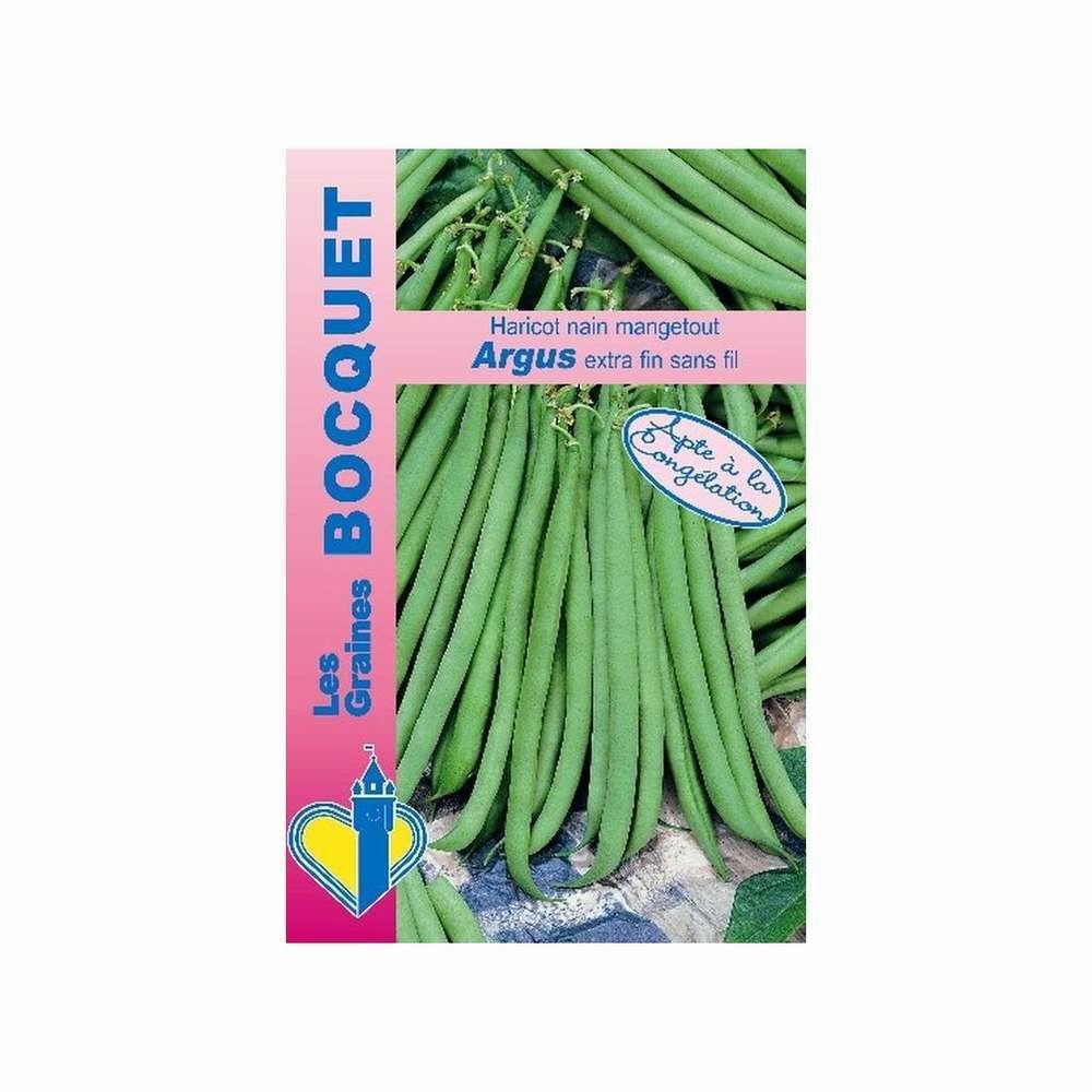 Graines d'haricot nain mangetout argus - 60g