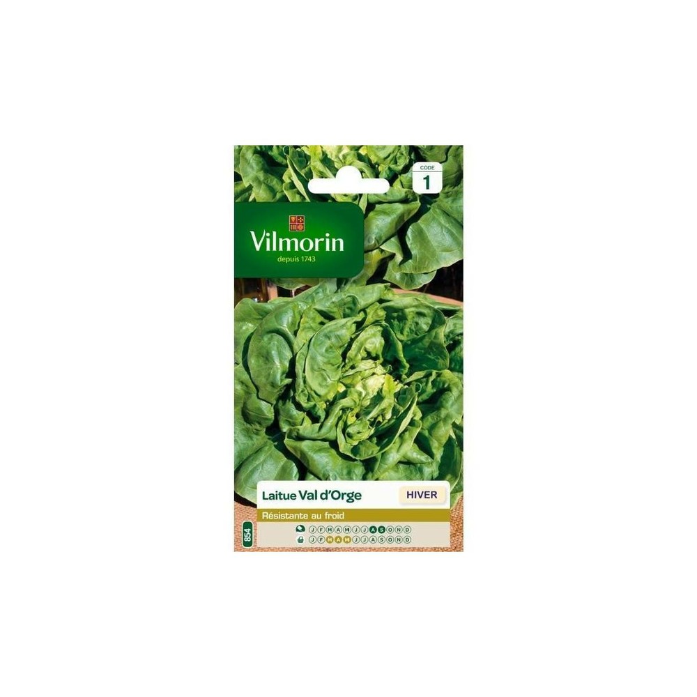 Sachet graines laitue val d'orge