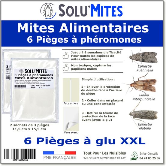 Solumites-lot de 6 pièges à phéromones pour teignes alimentaires