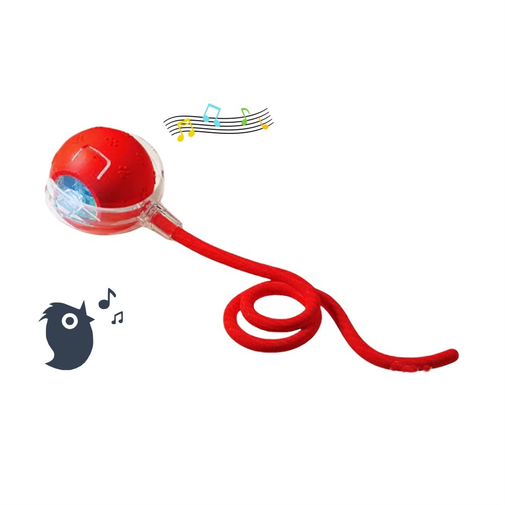 Balle intelligente pour chat dtopbuyage