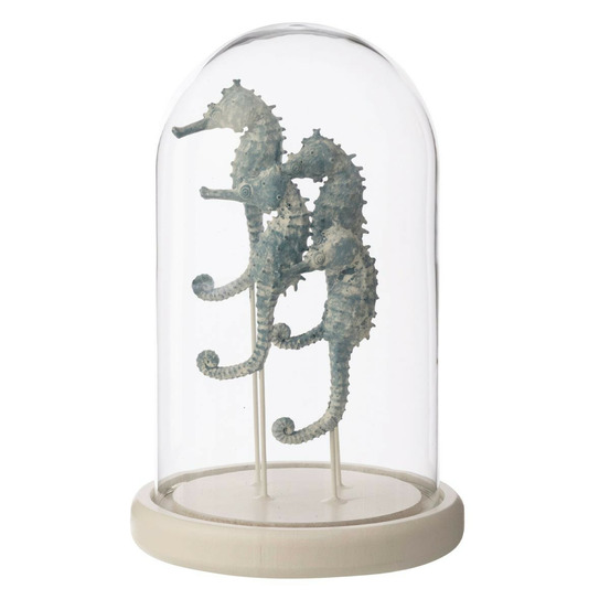 Cloche déco en verre