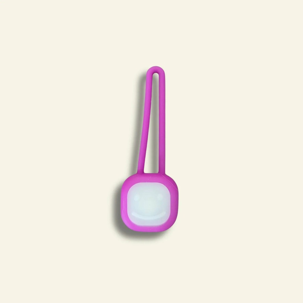 Pendentif led pour chien fuschia