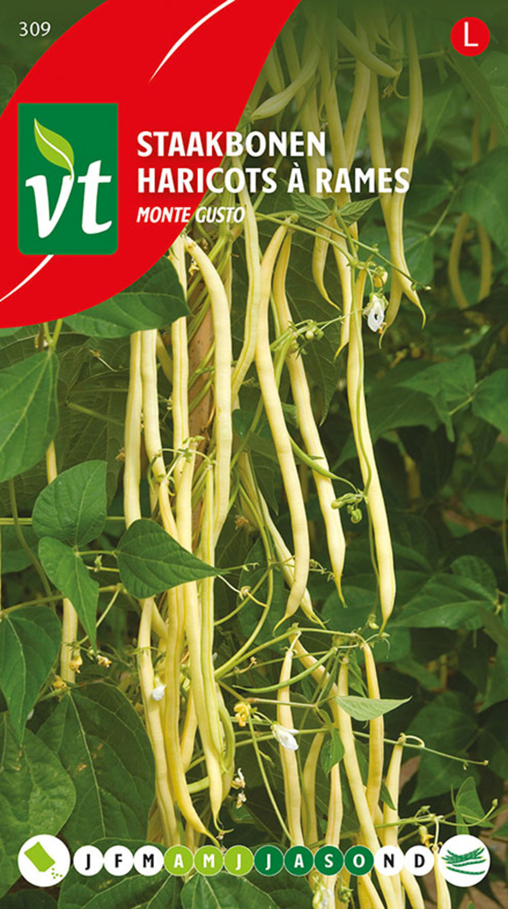 Haricots a rames monte gusto - ca. 25 gr (livraison gratuite)