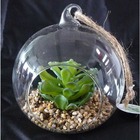 Plante grasse artificielle succulente cactee en bulle de verre avec co