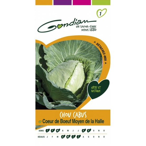 Chou cabus cœur de bœuf mayen de la halle