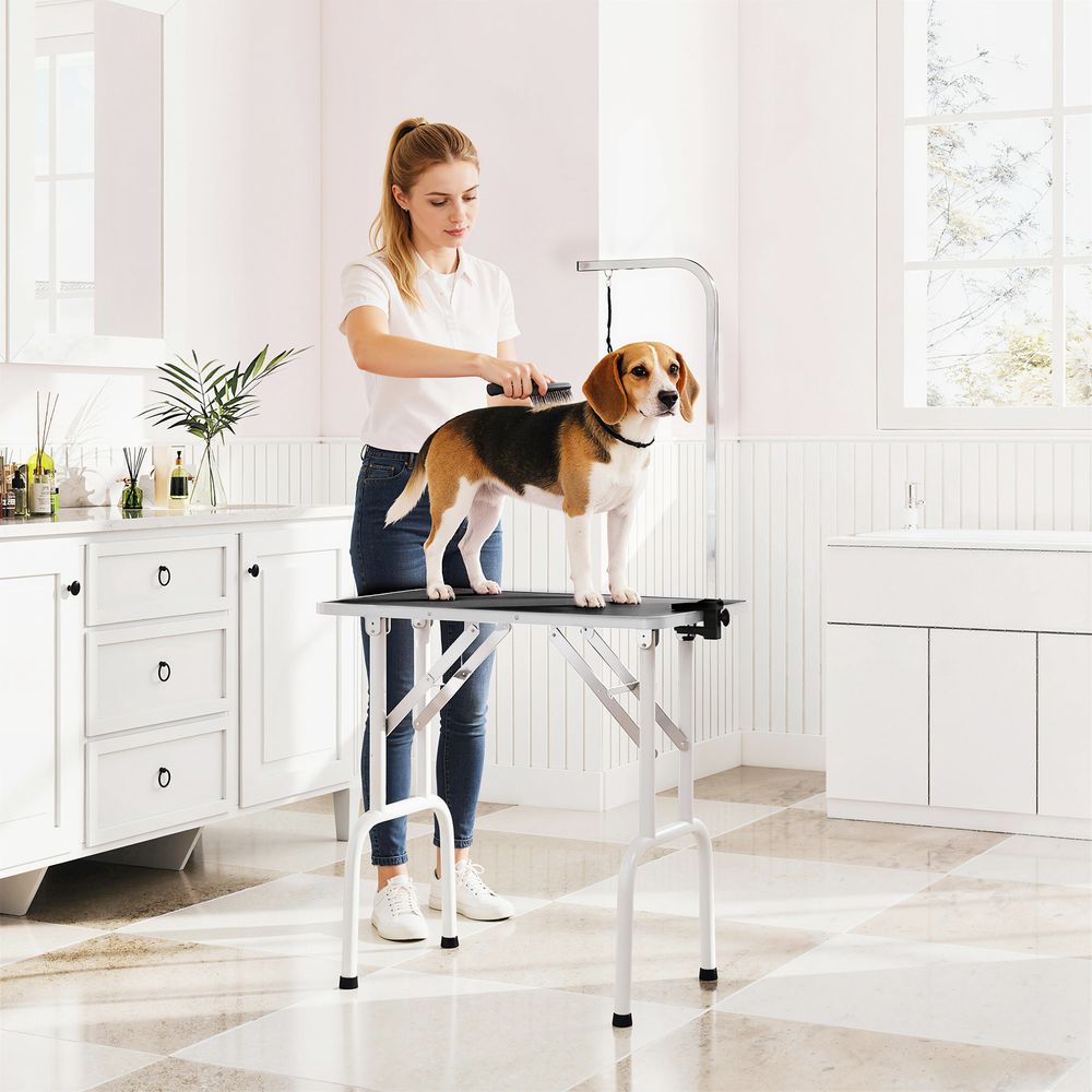 Table de toilettage pour chien acier inoxydable 81 x 48,5 x 80 cm noire pliable avec surface antidérapante