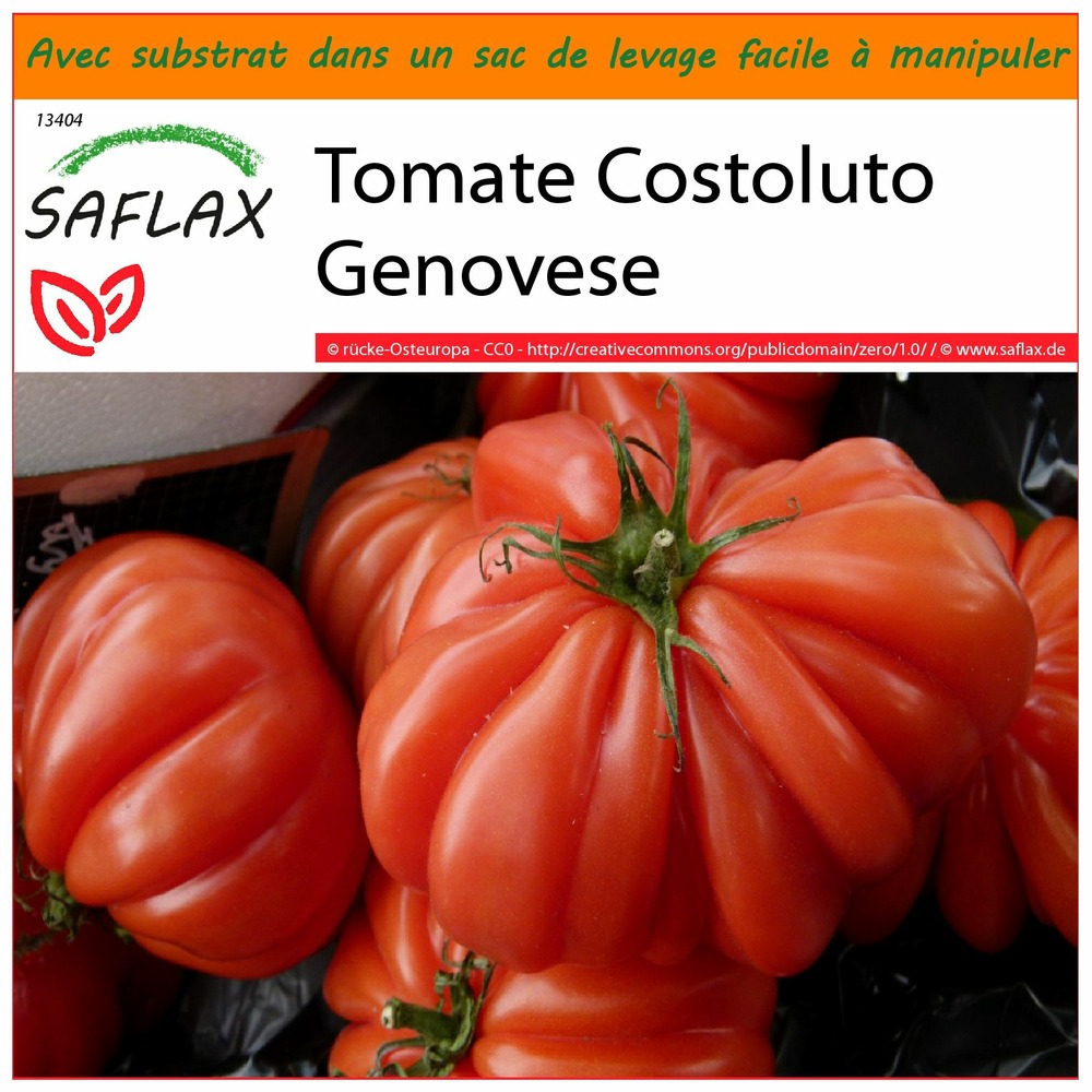 Garden in the bag - tomate costoluto genovese - 10 graines - lycopersicon esculentum