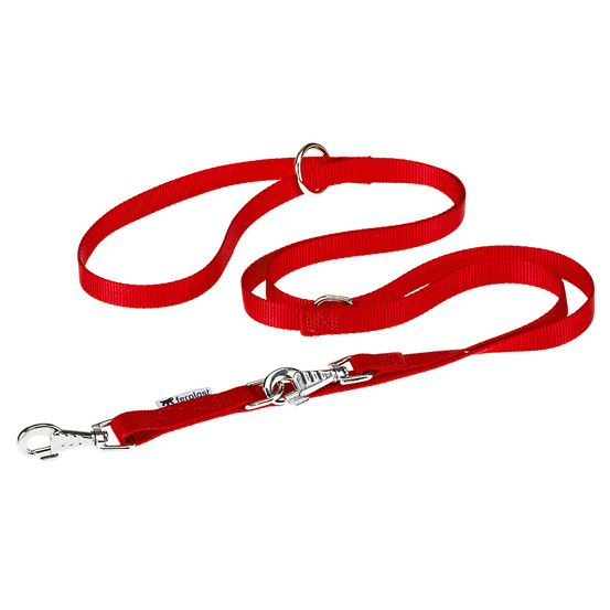 Laisse nylon dressage chiens modèle réglable ferplast club ga