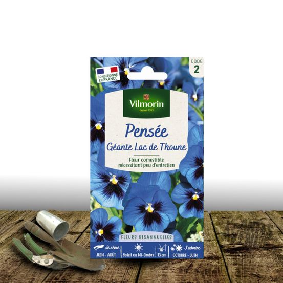 Graines de pensée géante lac de thoune - vilmorin sachet