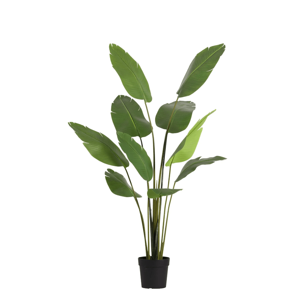 Strelitzia nicolai - 180cm - ø25cm - plante artificielle