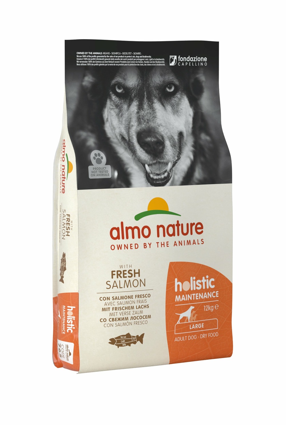 Almo nature - croquettes holistic maintenance au saumon pour chien de grande taille 12kg