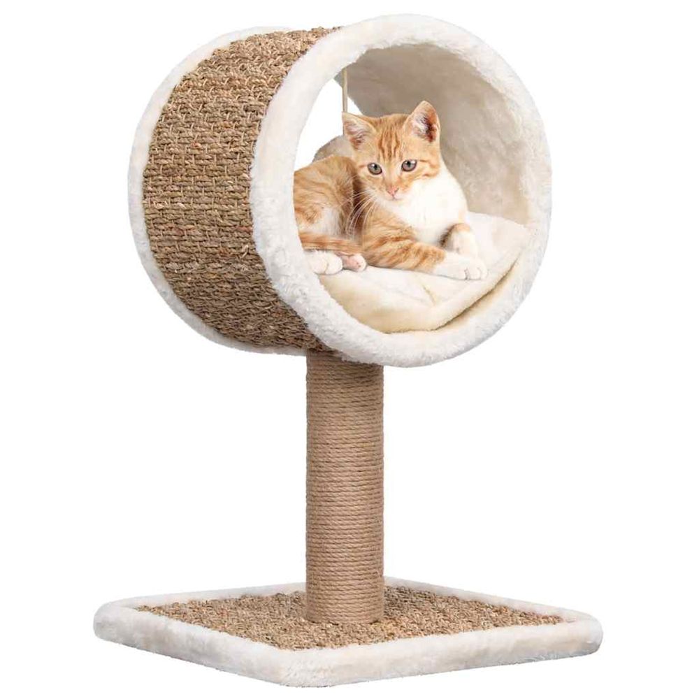 Arbre à chat et tunnel supérieur et