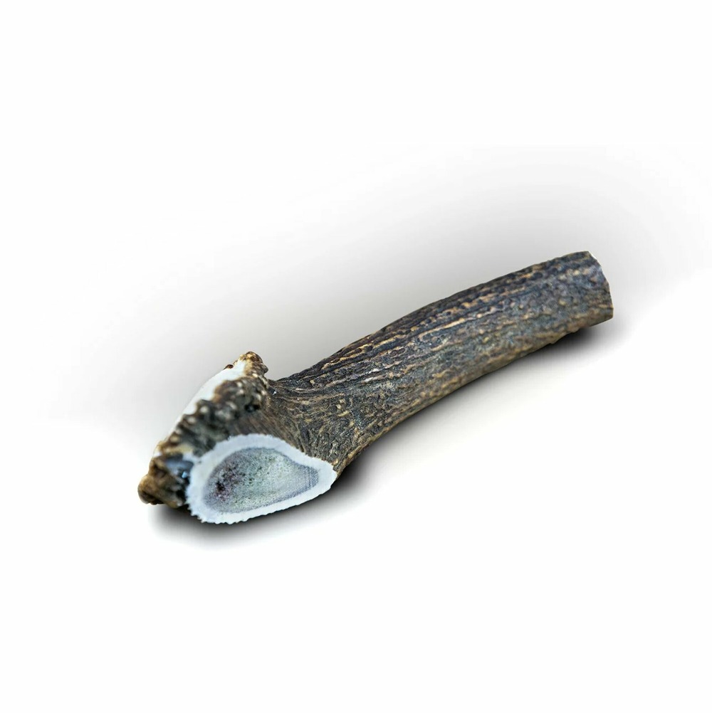 1x bois de cerf l entier (110/140gr) - chien <30kg - france croquettes