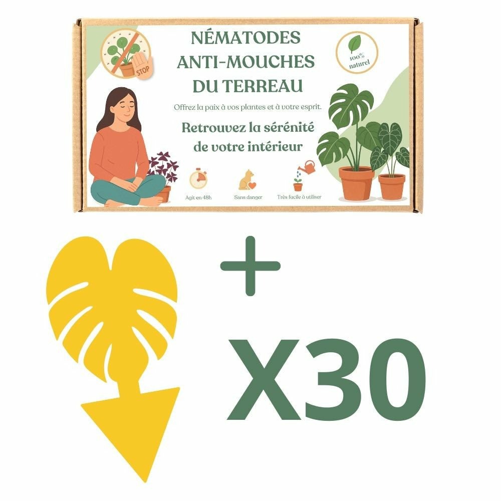 Nématodes felti (sf) - anti mouches du terreau - anti moucherons - anti sciarides - 5 millions traite jusqu'à 15 plantes - x30