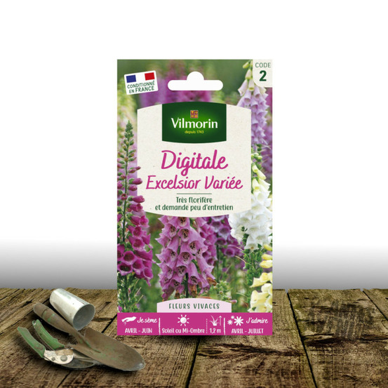 Graines de digitale excelsior variée - vilmorin sachet
