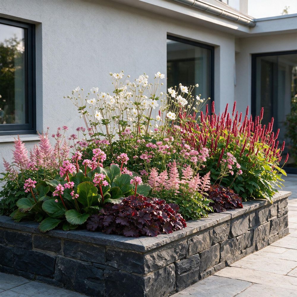 Pack massif d'ombre en mélange - 12 plants - h 15-25 cm, pot ø11 cm