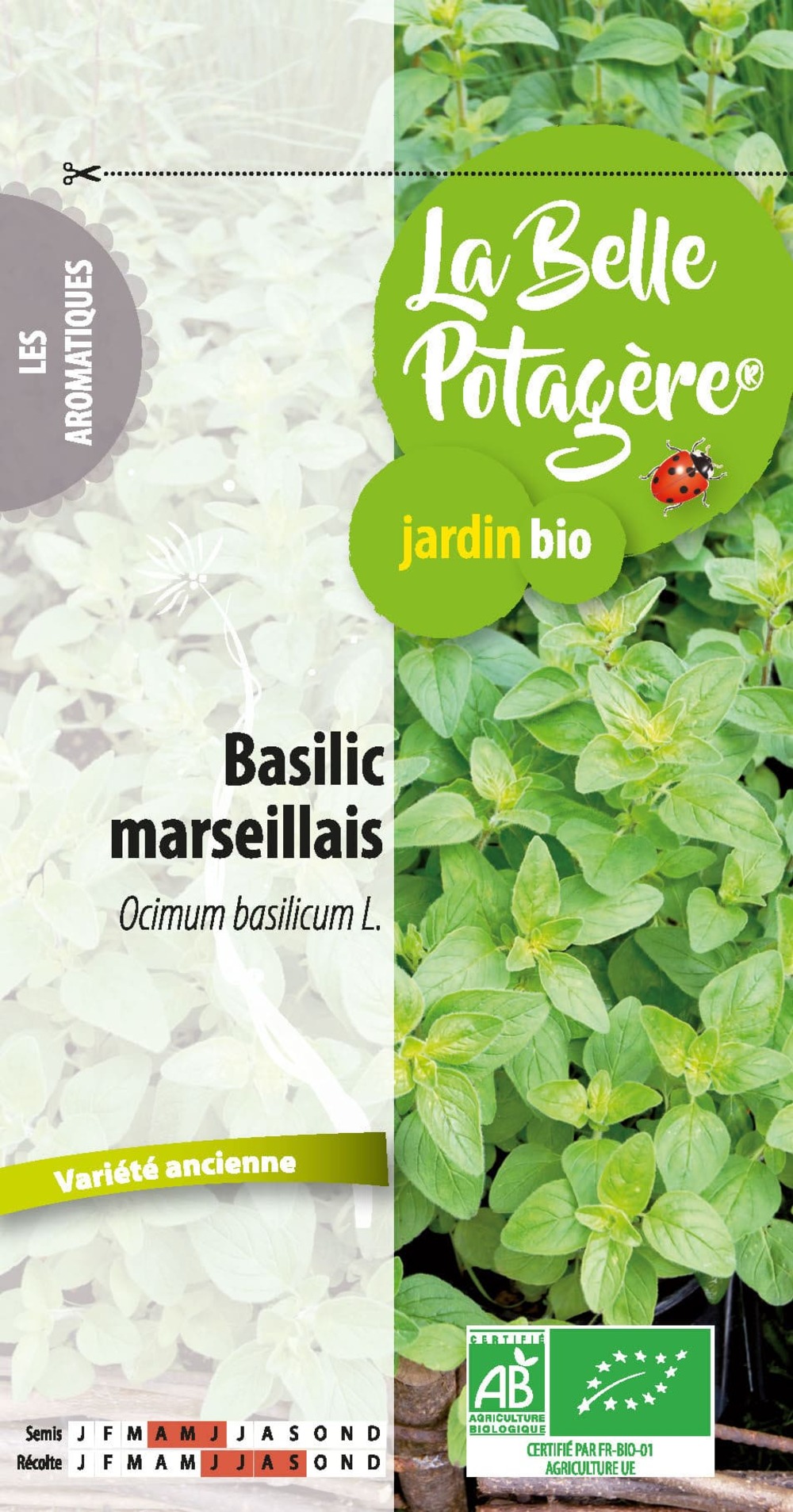 Basilic marseillais 0,5 g
