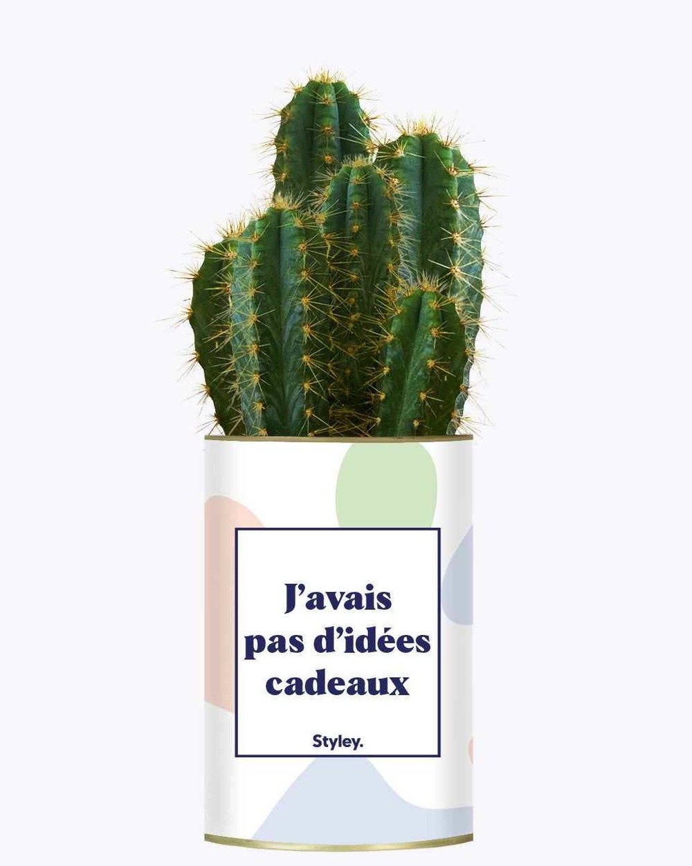 Plante personnalisée - j'avais pas d'idées cadeaux - cactus