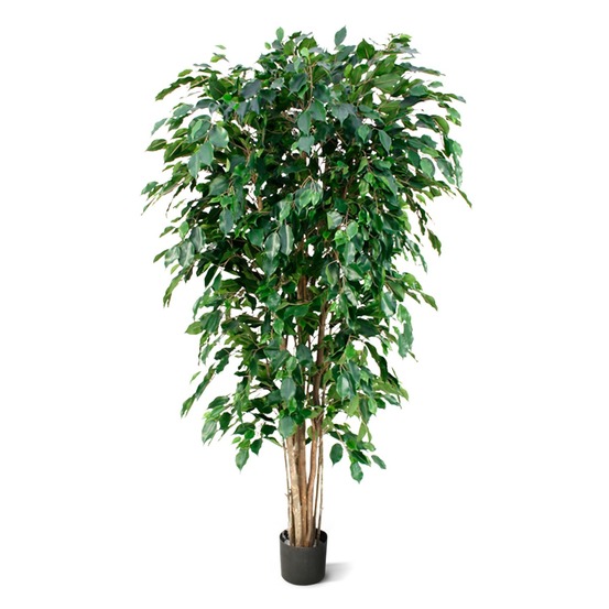 Ficus exotica plante artificielle deluxe 180 cm vert