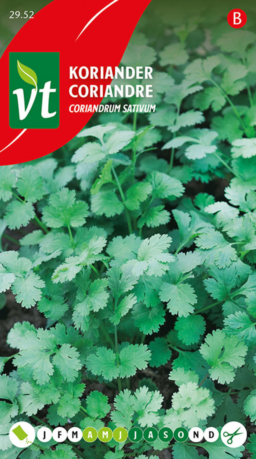 Coriandre - ca. 1,5 gr (livraison gratuite)