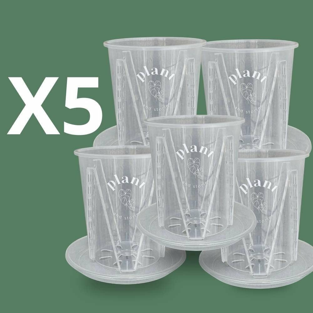 Lot pot aracées transparent - pot de culture transparent pour plantes - pot de 10cm - x5 unités - pots avec soucoupes adaptées