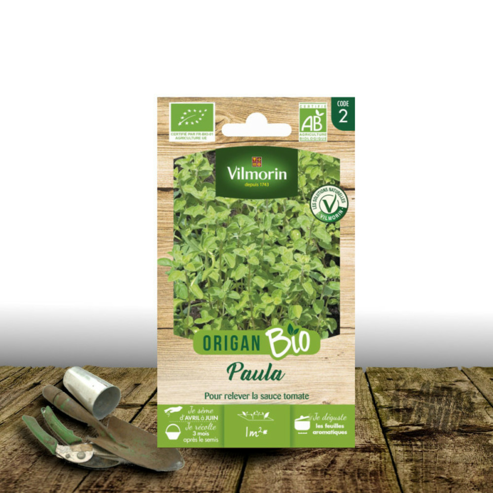 Graines d'origan paula - sans traitement - vilmorin sachet