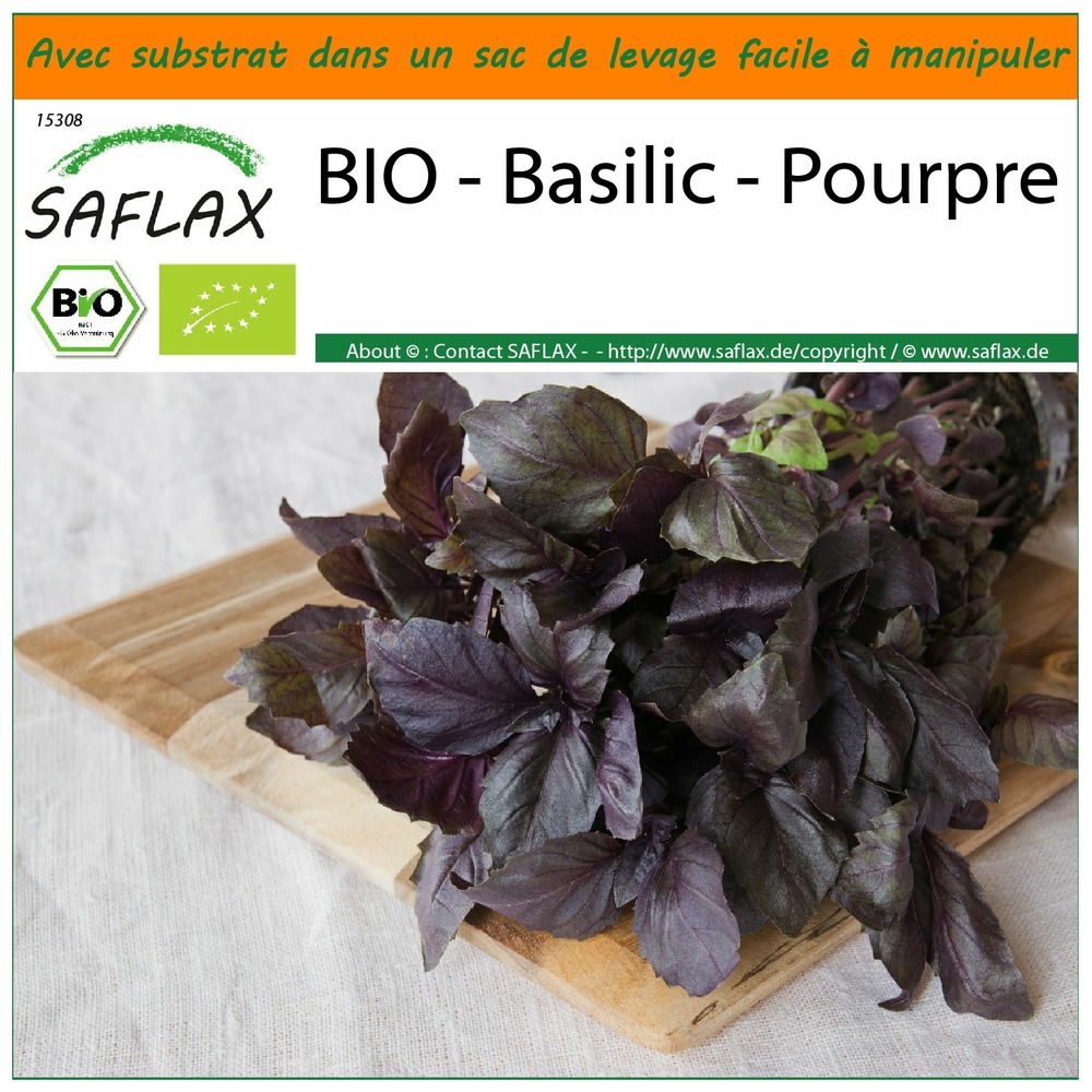 Garden in the bag - bio - basilic - pourpre - 400 graines - ocimum basilicum