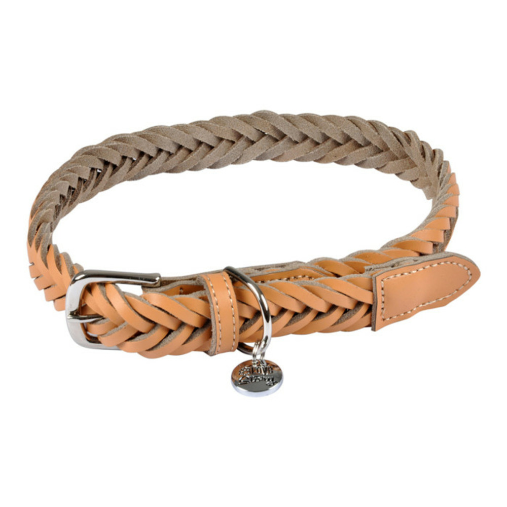 Collier pour chien réglable 