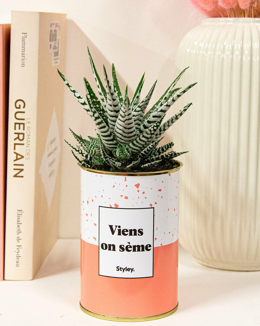 Plante personnalisée - viens on sème - cactus