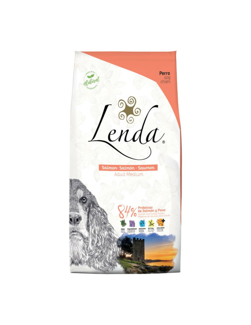 Salmon - croquettes chien adulte activité normale au saumon -12kg