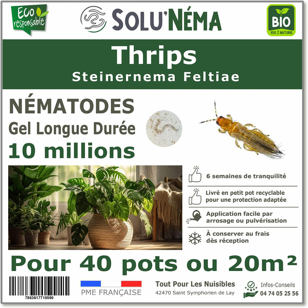 Solunéma - thrips - nématodes (sf) - 10 millions pour 40 pots ou 20 m²