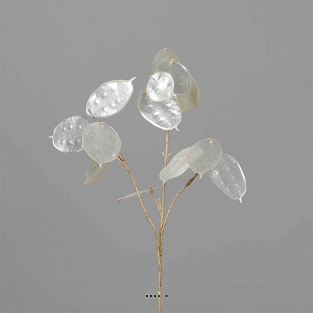 Branche de la monnaie du pape artificielle h 65 cm