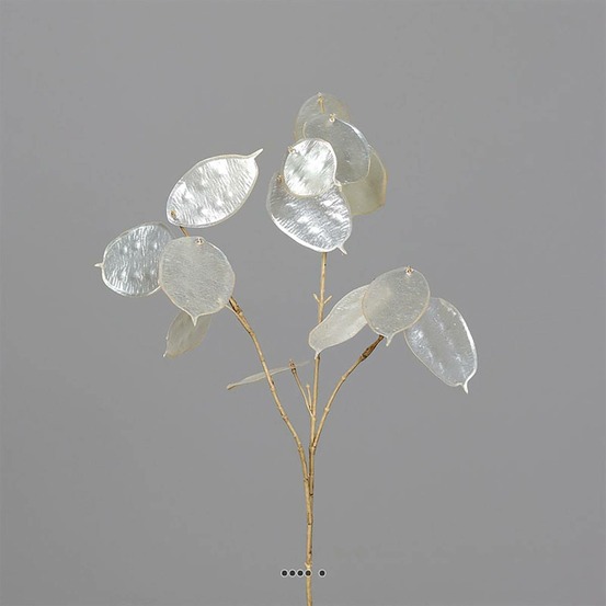 Branche de la monnaie du pape artificielle h 65 cm