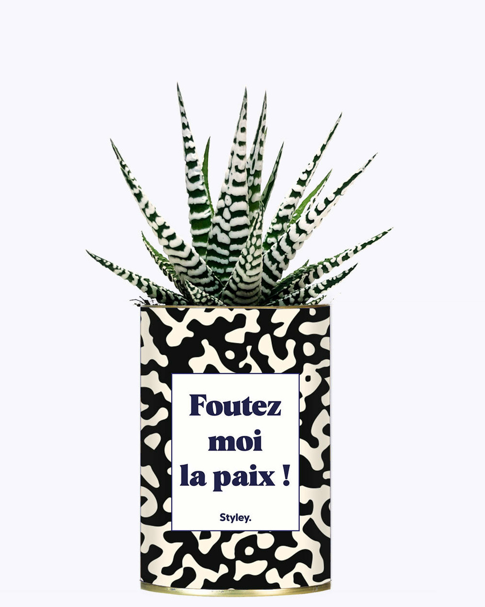 Plante drôle - foutez moi la paix - cactus