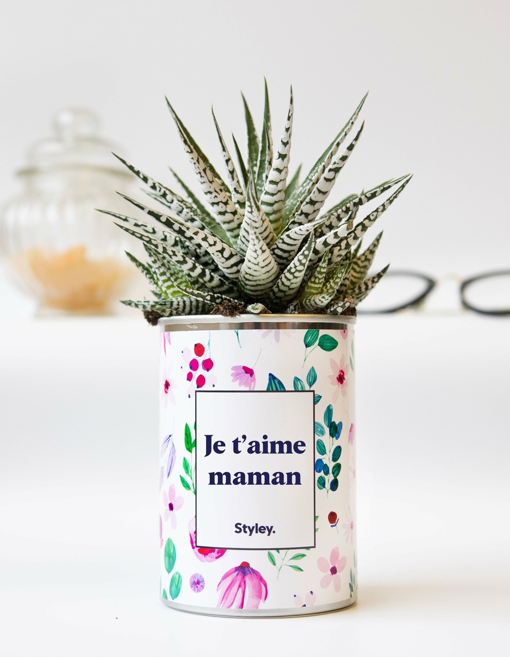 Plante personnalisée - je t'aime maman - cactus
