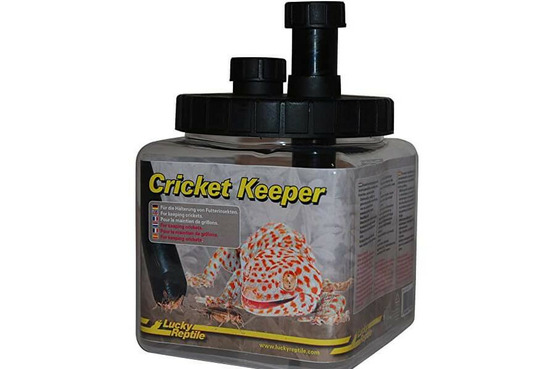 Cricket keeper pour l'alimentation des reptiles
