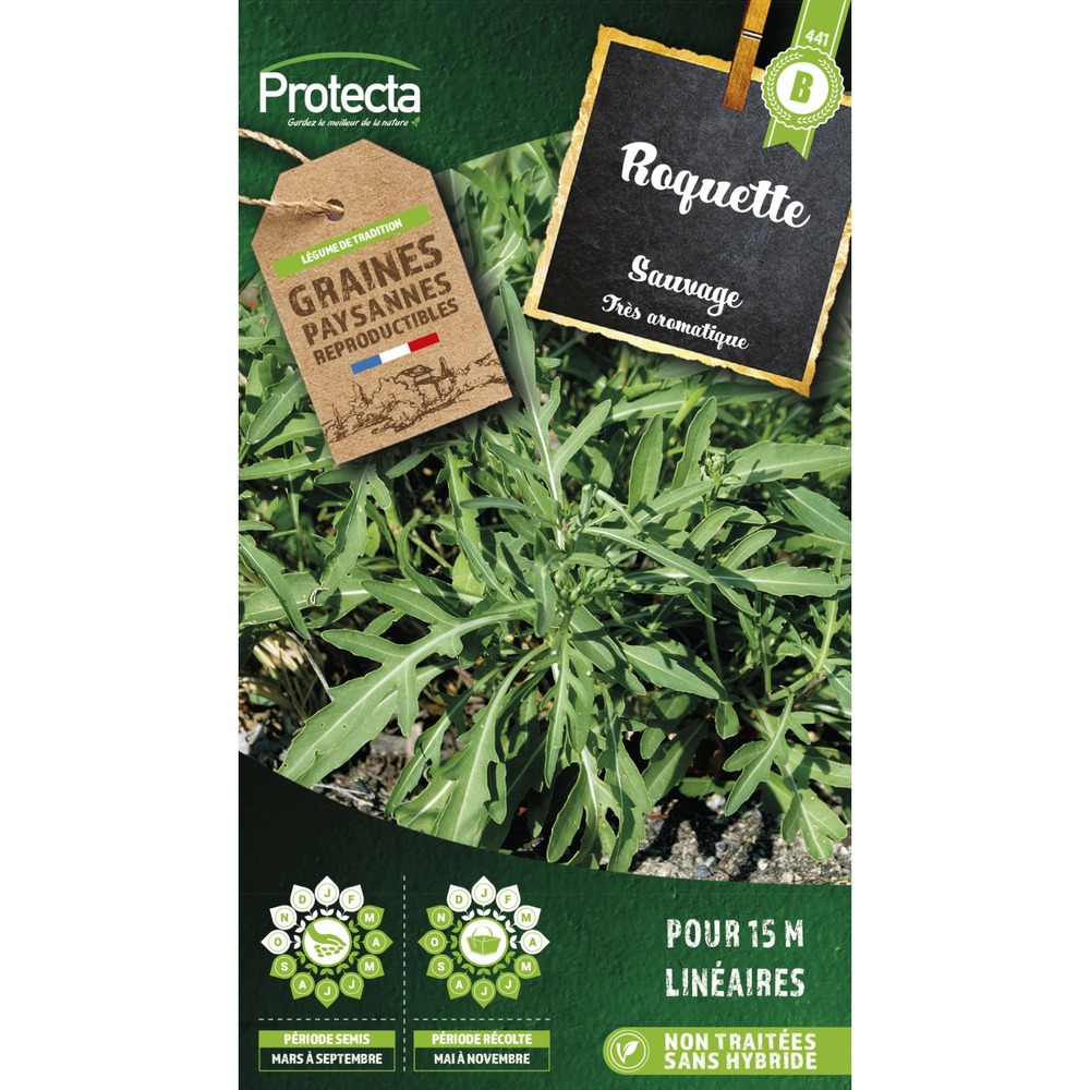 Graines paysannes - roquette sauvage