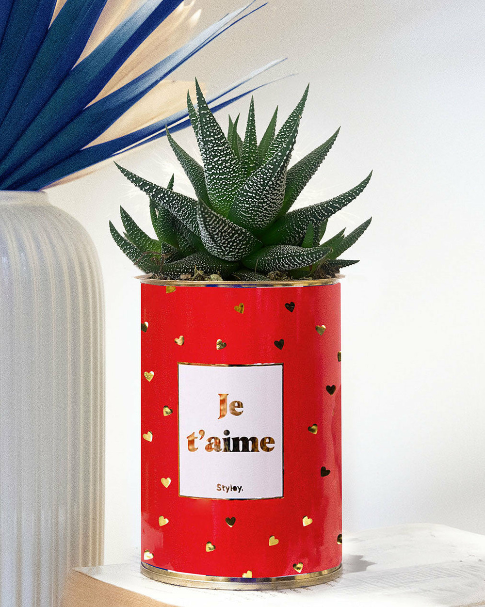 Plante drôle - je t'aime doré - cactus