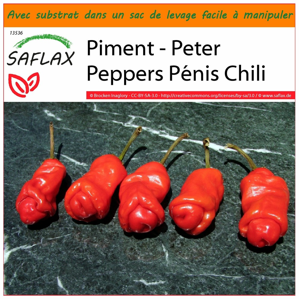 Garden in the bag - piment - peter peppers pénis chili - 10 graines - capsicum annuum